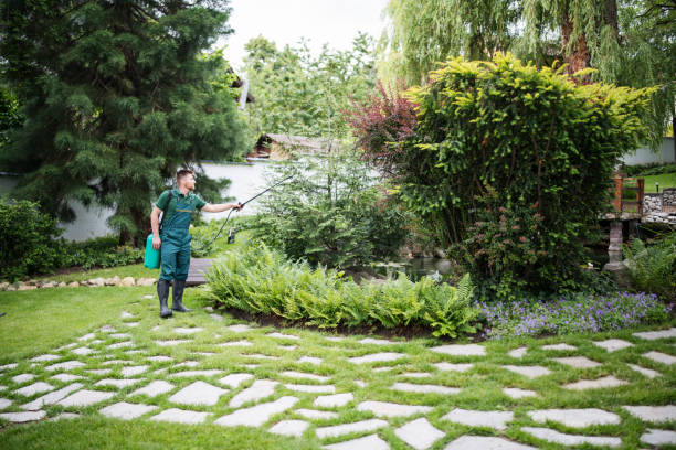 Best Insect Control  in Rogers, MN
