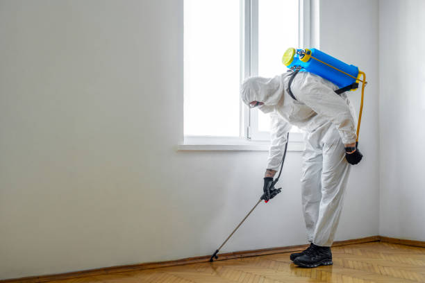 Best Residential Pest Control  in Rogers, MN