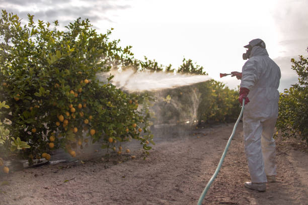 Reliable Rogers, MN Pest Control Solutions